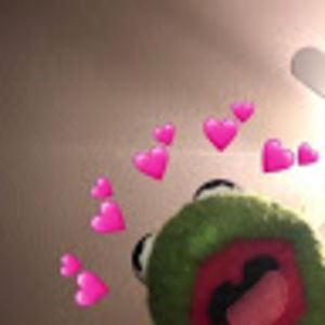 Meet your Posher, Karli